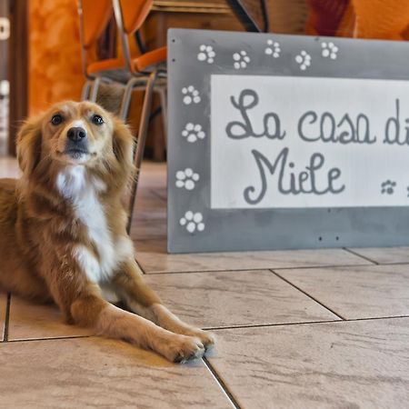 La Casa Di Miele Bed & Breakfast Marcignago ภายนอก รูปภาพ